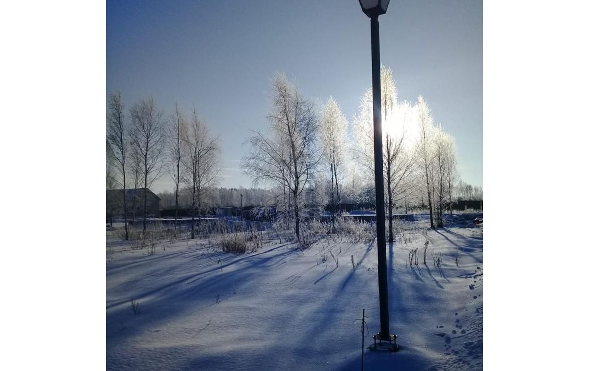2021-01-30-11.jpeg
