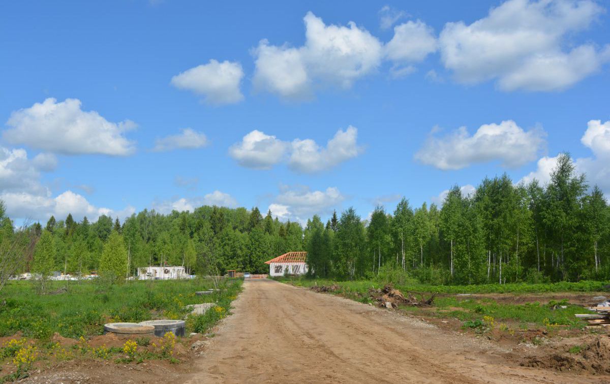 DSC_0282.JPG