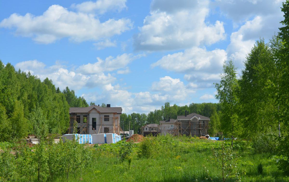 DSC_0284.JPG