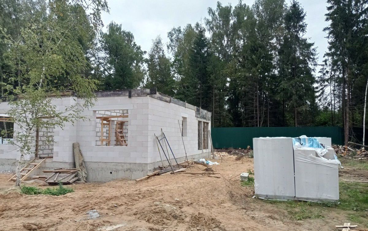2021-08-03.jpg