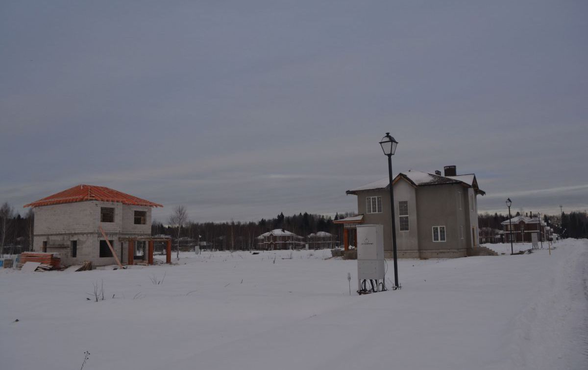 DSC_0525.jpg