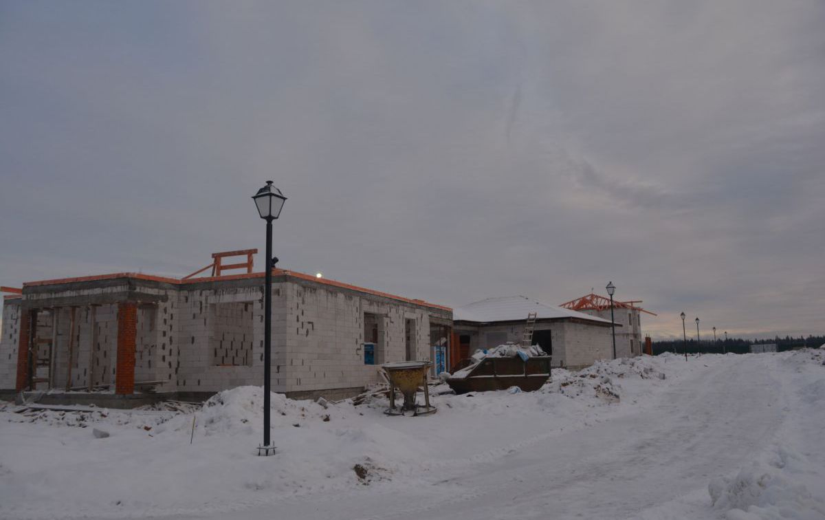 DSC_0530.jpg