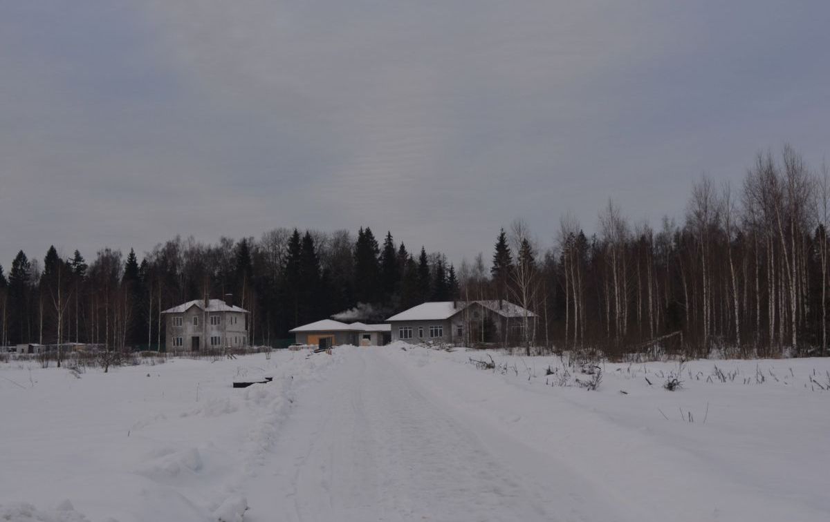 DSC_0532.jpg