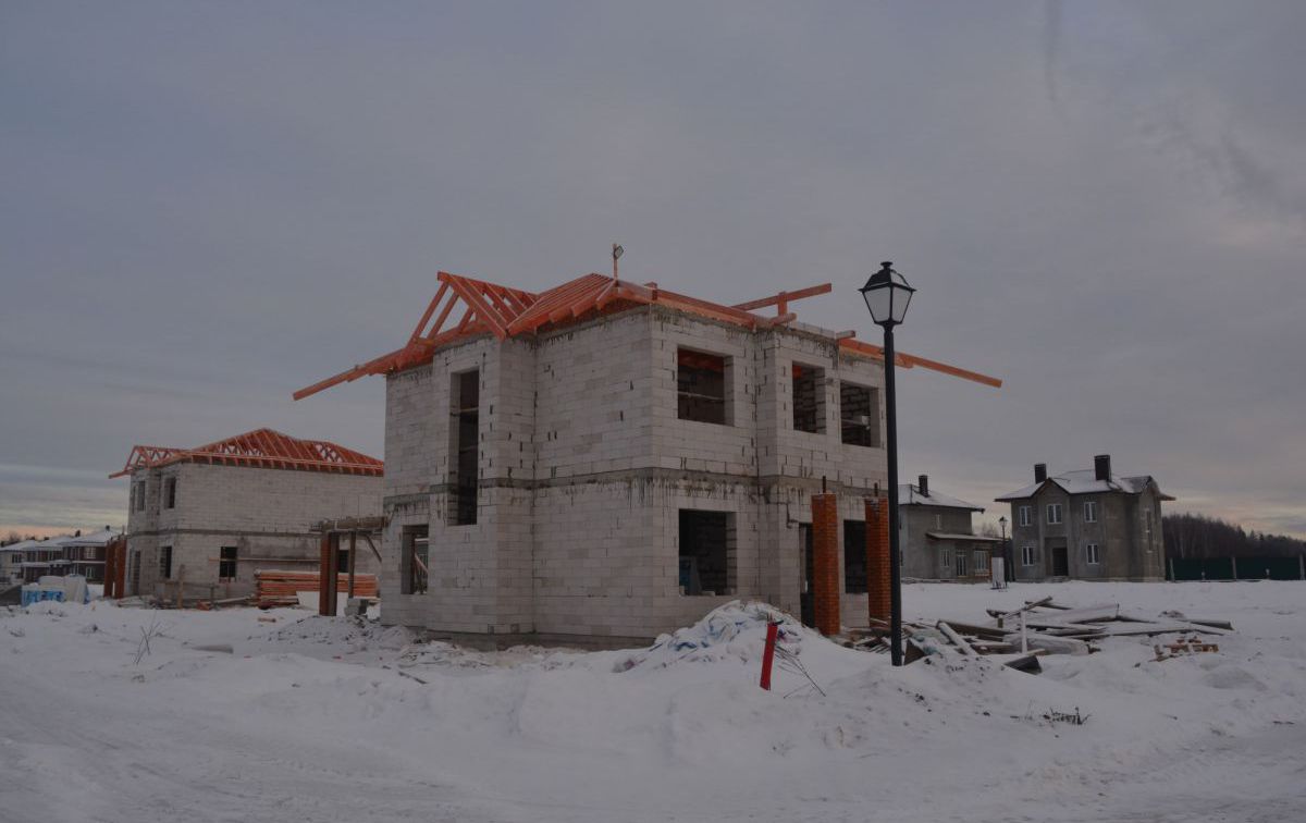 DSC_0528.jpg