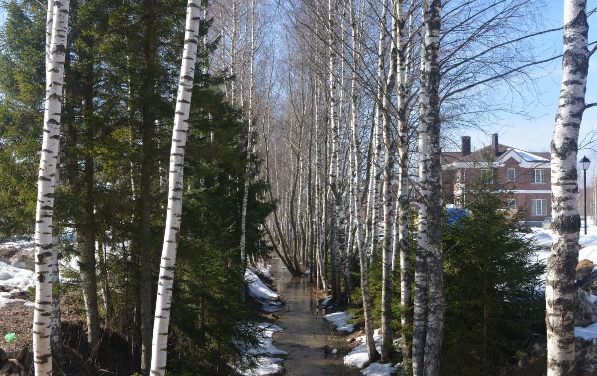 DSC_0554.JPG