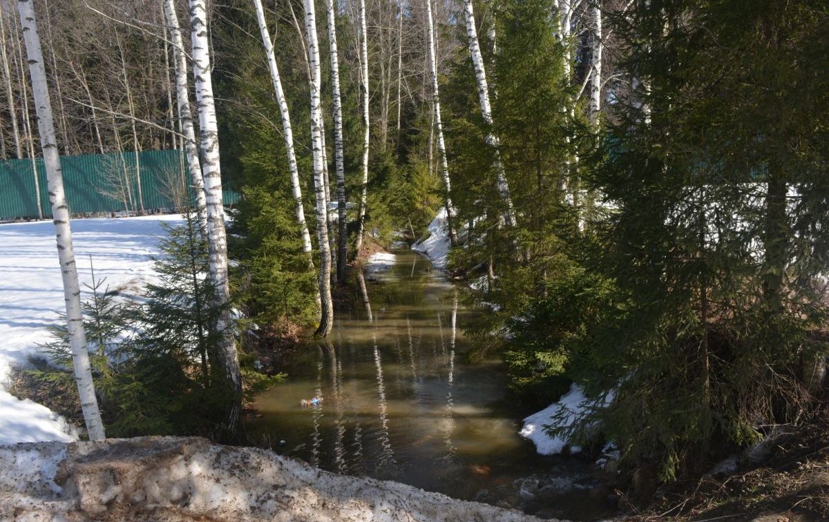 DSC_0555.JPG