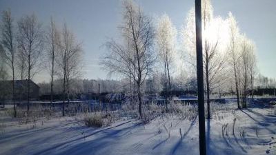 2021-01-30-11.jpeg