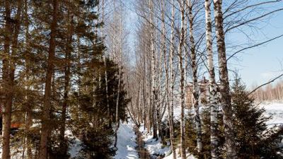 220309-33.jpg