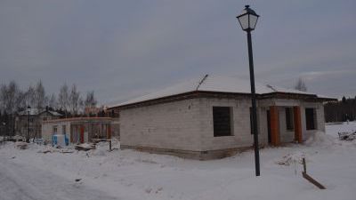 DSC_0529.jpg