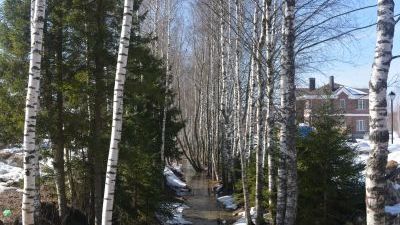 DSC_0554.JPG